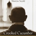 Crooked Cucumber by David Chadwick
