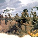 Homo erectus Matternes