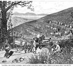 Chinese grape growers in the Sonoma Valley (1880)